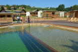 Predstavitev biološkega plavalnega bazena