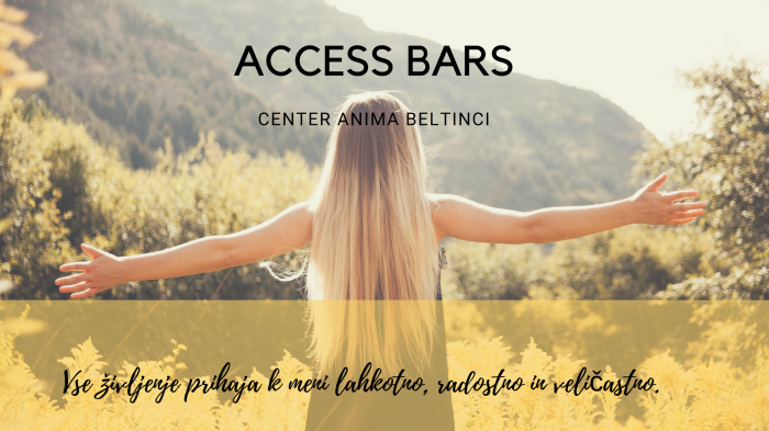 Access Bars