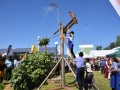 Postavljanje haloškega klopotca na sejmu AGRA