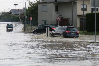 Neurje v Ljutomeru