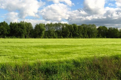 Slovenska zemlja mora ostati v slovenski lasti