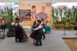 Tekmovanje v plesanju polke