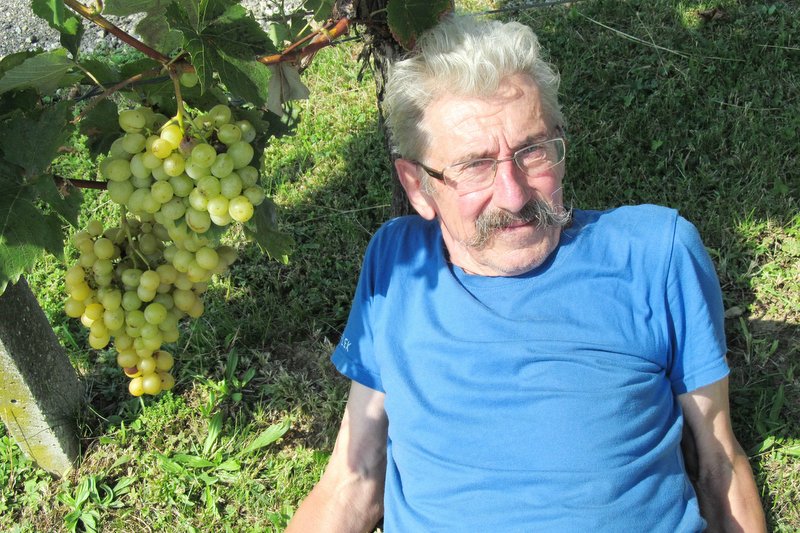 Janez Dvoršak je ponosen na svoje grozdje z brajd