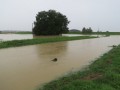 Poplave pri Gajševskem jezeru