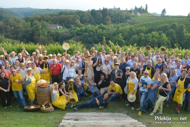 3. VIP trgatev Puklavec Family Wines