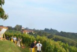 3. VIP trgatev Puklavec Family Wines