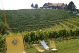 3. VIP trgatev Puklavec Family Wines