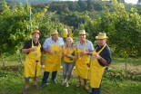 3. VIP trgatev Puklavec Family Wines