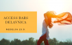 Access Bars delavnica