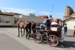 Dan odprtih vrat Oljarne Središče ob Dravi