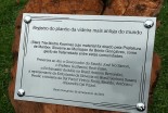 Najstarejša trta na svetu, posajena v Braziliji