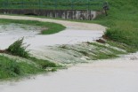 Poplave pri Gajševskem jezeru