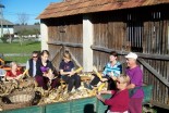 Tradicionalno kožühanje koruze v Banovcih