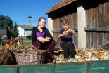 Tradicionalno kožühanje koruze v Banovcih