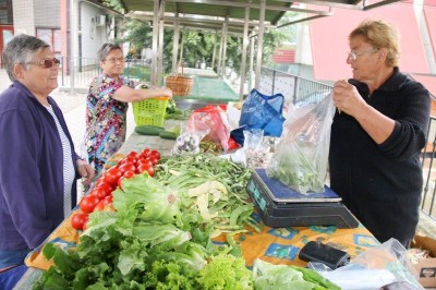 Lenarčani bi lahko uživali zdrave vrtnine in sadje, a tega ne izkoriščajo dovolj, foto: Ludvik Kramberger