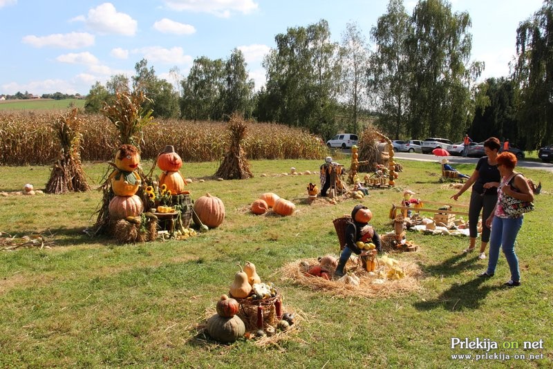 Bučarija 2018