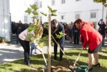 Borut Pahor, Andreja Raduha in Stanko Ačko so v grajskem parku posadili drevo upanja
