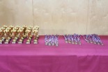 Judo Prlekija open 2018
