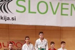 Judo Prlekija open 2018