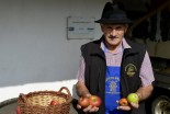 Kučenje jabolk v Sovjaku