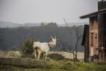 Požarna varnost na kmetiji