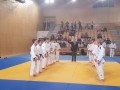 1. slovenska judo liga