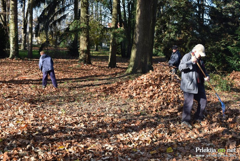 Grabljanje listja v Vrtu spominov in tovarištva na Petanjcih