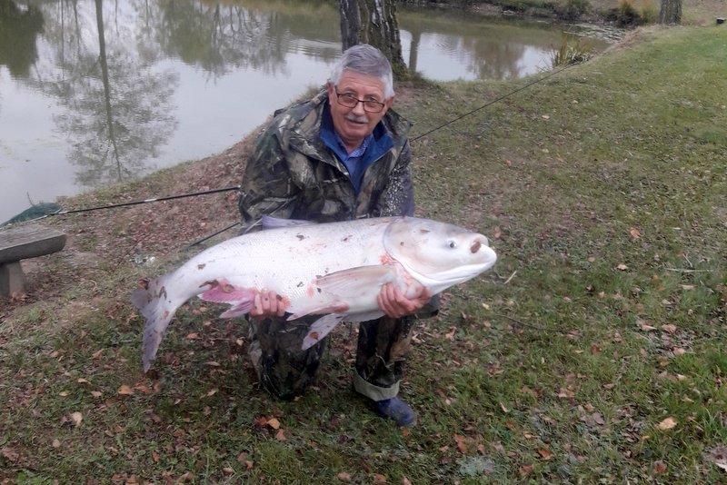 Vlado Kapun in tolstolobik velikan