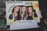 Martinovanje v Ormožu