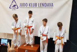 Miklavžev judo turnir v Črenšovcih