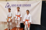 Miklavžev judo turnir v Črenšovcih