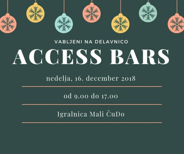 Access Bars delavnica