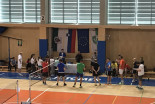 5. novoletni turnir v badmintonu