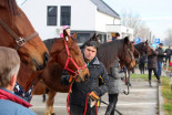 Blagoslov konjev v Križevcih pri Ljutomeru