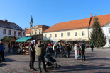 Kuharske in ustvarjalne delavnice Društva Kihača