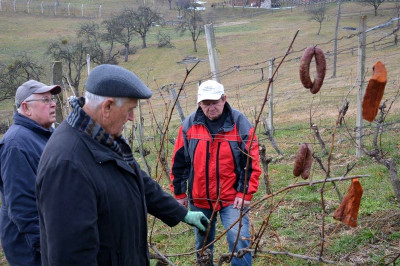 Vincencovo v Benediktu