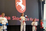 Karate turnir Horse Cup Konjice 2019