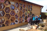 Medena pot po čebelarskem muzeju