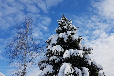 Bo pri nas zapadlo kaj snega?