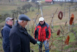 Vincencovo v Benediktu