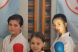 3. krog karate šolske lige