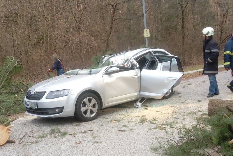 Drevo je padlo na vozilo, foto: PGD Talum Kidričevo