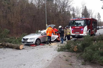 Drevo je padlo na vozilo, foto: PGD Talum Kidričevo