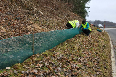 Pomoč dvoživkam