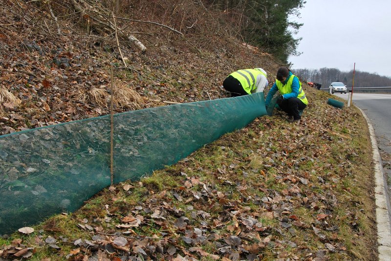 Pomoč dvoživkam