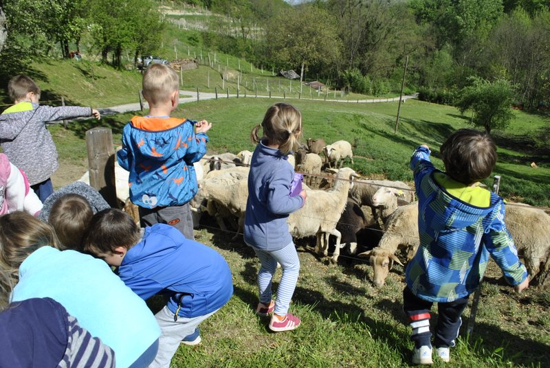 Otroci na obisku na Šiškovi kmetiji