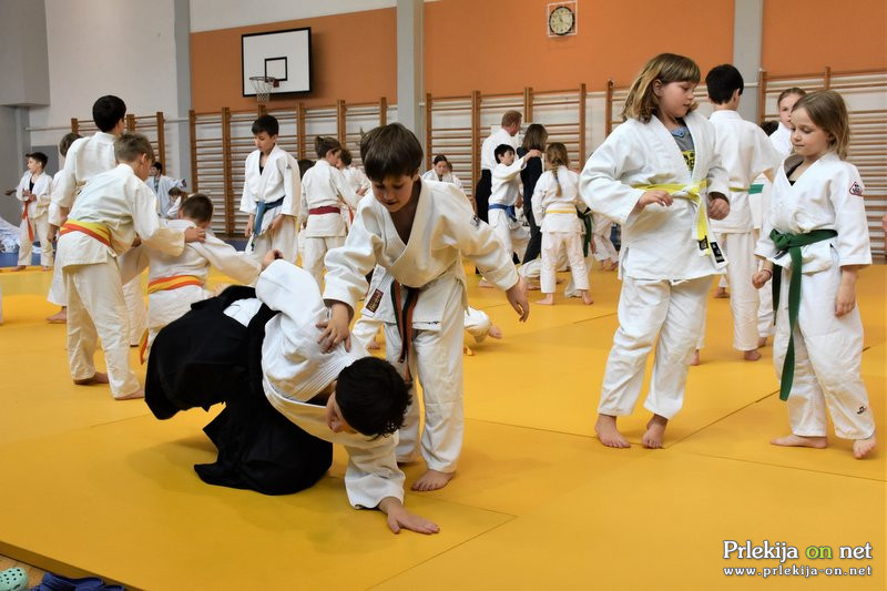 Otroški Aikido seminar na Ptuju