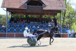 Kasaške dirke v Ljutomeru