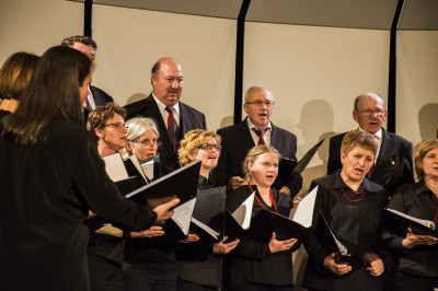 Pevski festival odraslih zborov in malih vokalnih skupin