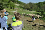 Otroci na obisku na Šiškovi kmetiji